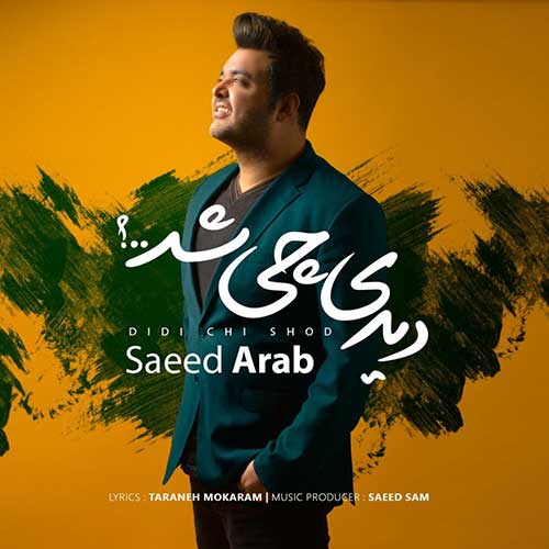 دانلود آهنگ «دیدی چی شد» از «سعید عرب» با کیفیت ۳۲۰ و متن ترانه