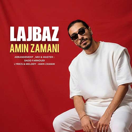 دانلود آهنگ «لجباز» از «امین زمانی» با کیفیت ۳۲۰ و متن ترانه