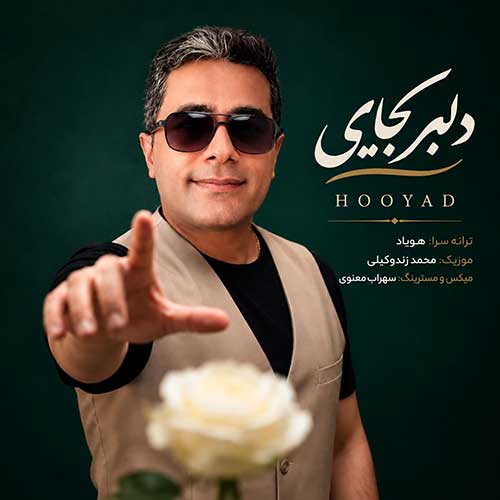 دانلود آهنگ «دلبر کجایی» از «هویاد» با کیفیت ۳۲۰ و متن ترانه
