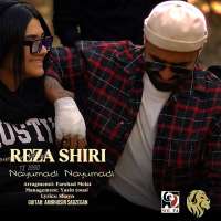 cover_20251102_182318_529719_resized